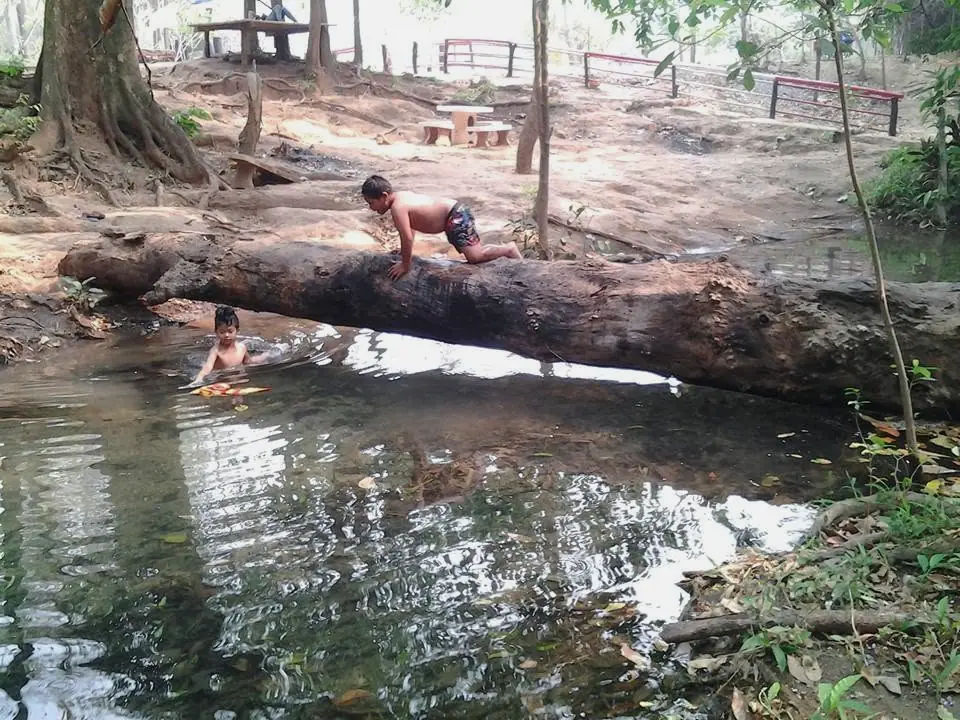 The children in the stream