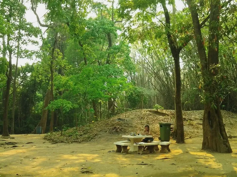The yard under the bamboo